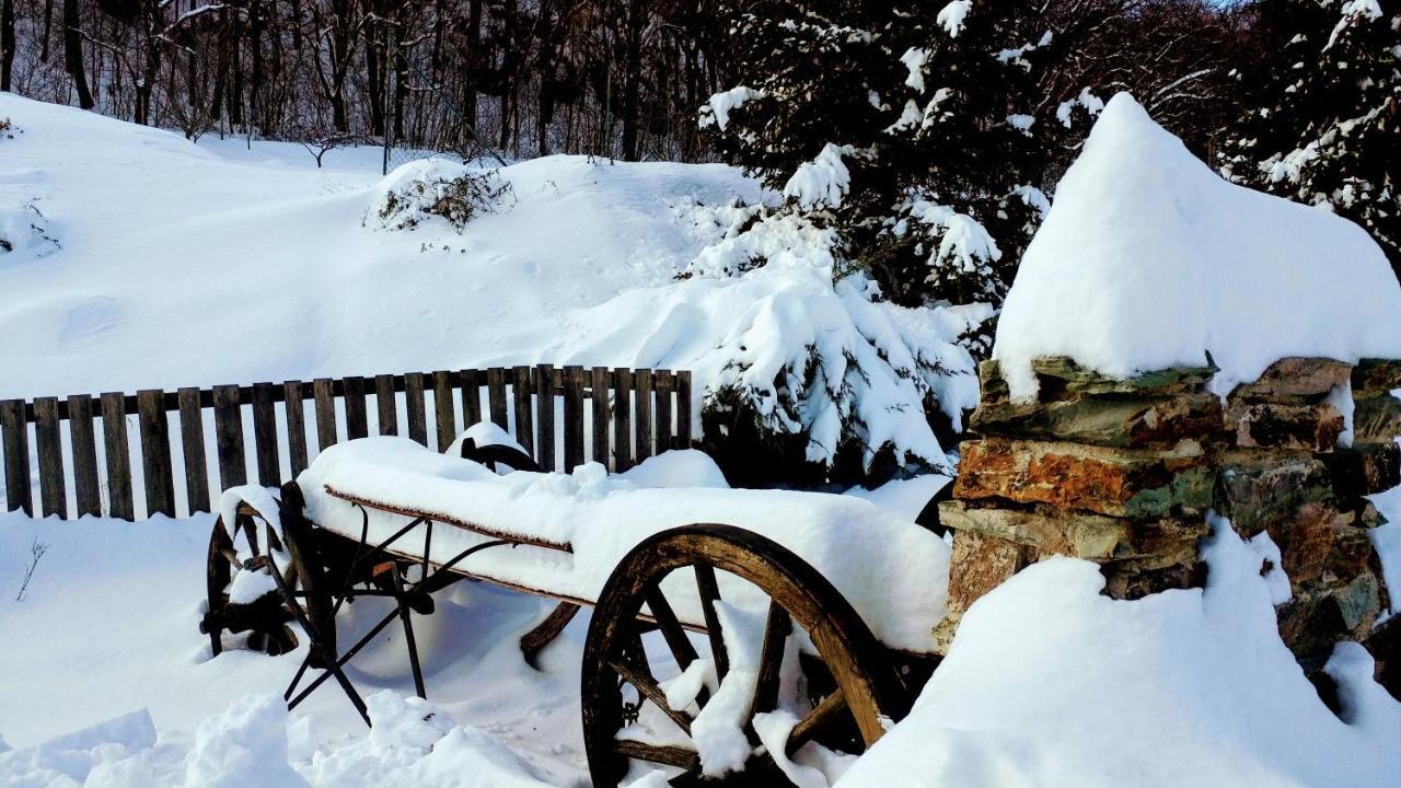Pod Hradom Restaurant & Pension Topoľcany Bagian luar foto